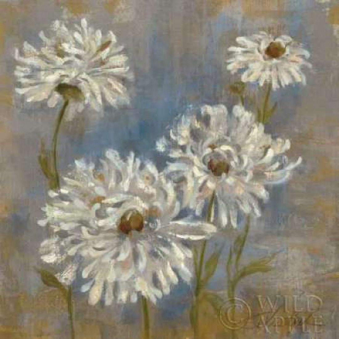 Flowers in Morning Dew II Canvas Art - Silvia Vassileva (24 x 24)
