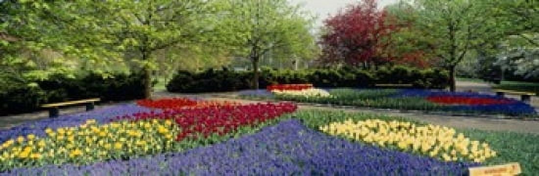 Flowers in a garden Keukenhof Gardens Lisse Netherlands Canvas Art - Panoramic Images (18 x 6)