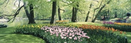 Flowers in a garden Keukenhof Gardens Netherlands Canvas Art - Panoramic Images (36 x 12)