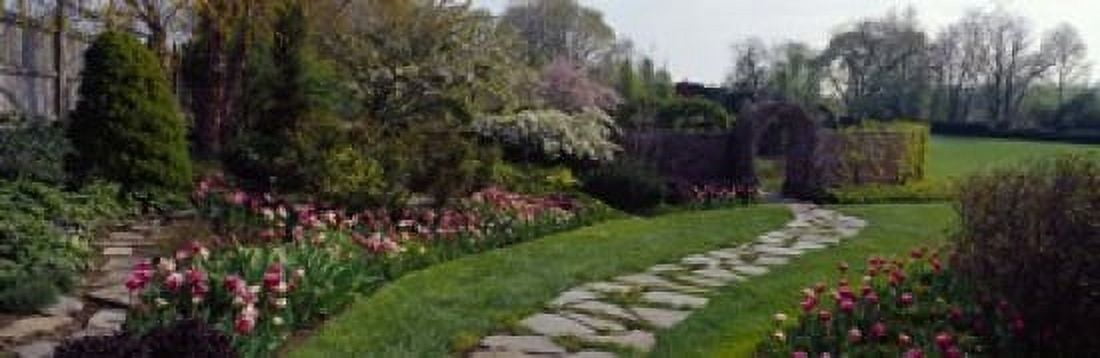 Flowers in a garden Ladew Topiary Gardens Monkton Baltimore County Maryland USA Canvas Art - Panoramic Images (18 x 6)
