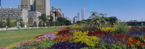 Flowers in a garden Welcome Garden Grant Park Michigan Avenue Roosevelt Road Chicago Cook County Illinois USA Canvas Art - Panoramic Images (36 x 12)