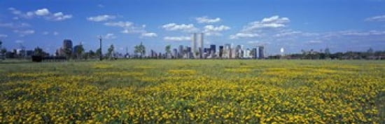 Flowers in a park with buildings in the background Manhattan New York City New York State USA Canvas Art - Panoramic Images (36 x 12)
