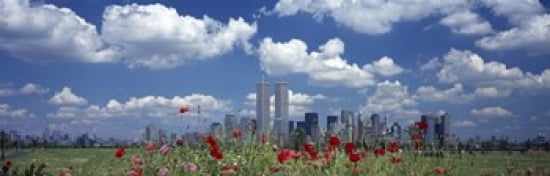Flowers in a park with buildings in the background Manhattan New York City New York State USA Canvas Art - Panoramic Images (36 x 12)