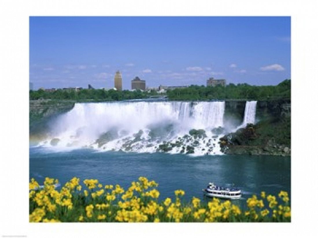 Flowers in front of a waterfall American Falls Niagara Falls New York USA Canvas Art - (24 x 18)