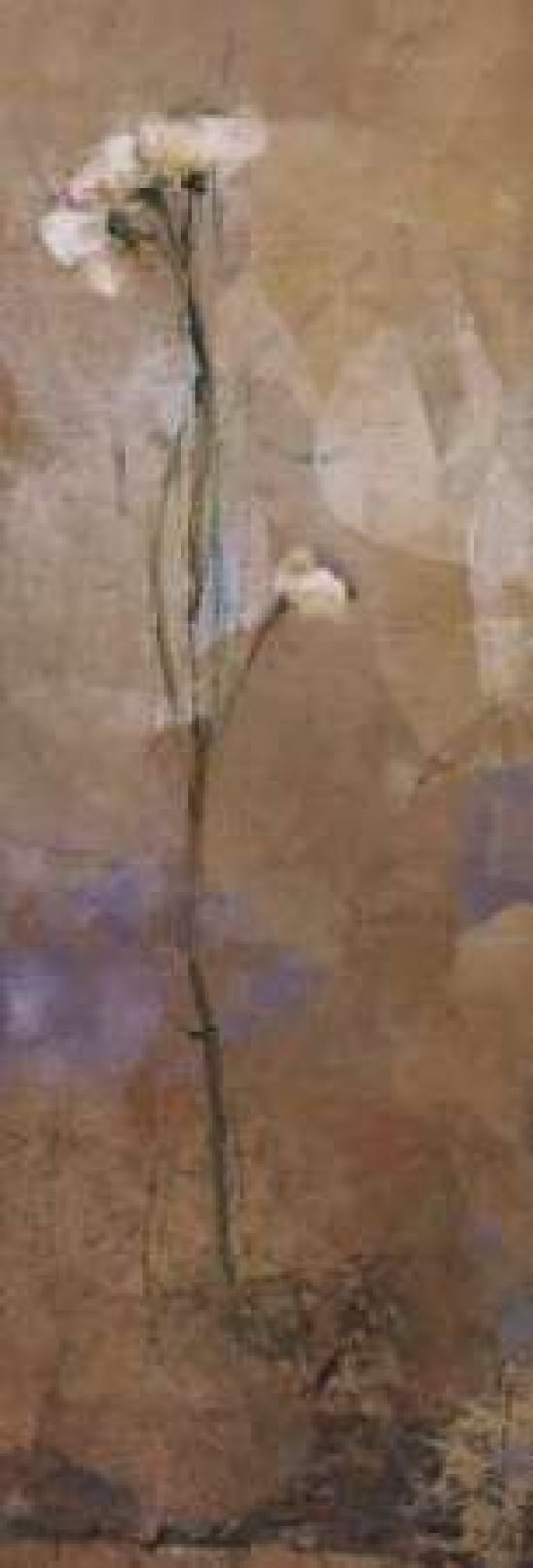 Flowers of June Series II Canvas Art - Miquela Nicolau (8 x 24)