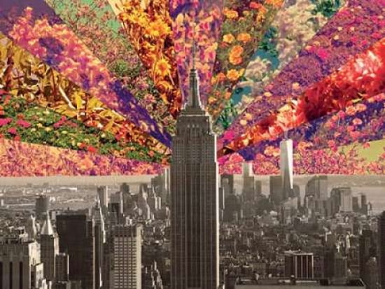 Flowers of New York Canvas Art - Bianca Green (18 x 24)