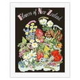 thumbnail image 1 of Flowers of New Zealand - Vintage Travel Poster by Howard Mallitte c.1950s - Fine Art Rolled Canvas Print 20in x 26in, 1 of 4