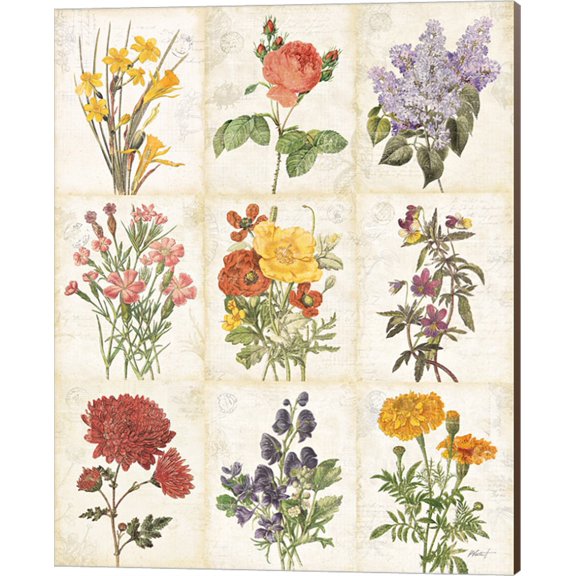 Flowers of the Month 9 Patch by Katie Pertiet, Canvas Wall Art, 16W x 20H