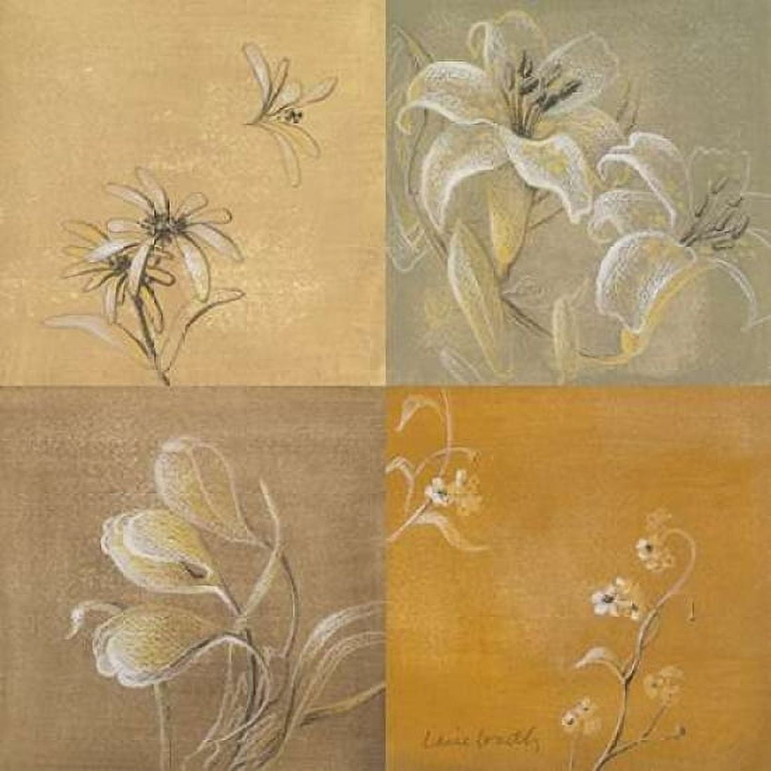 Flowers of the Night II Canvas Art - Lanie Loreth (24 x 24)