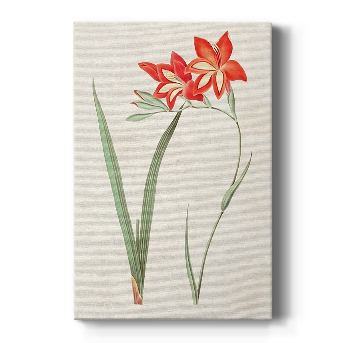 Flowers of the Seasons IV Premium Gallery Wrapped Canvas - Ready to Hang