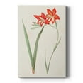 thumbnail image 1 of Flowers of the Seasons IV Premium Gallery Wrapped Canvas - Ready to Hang, 1 of 9