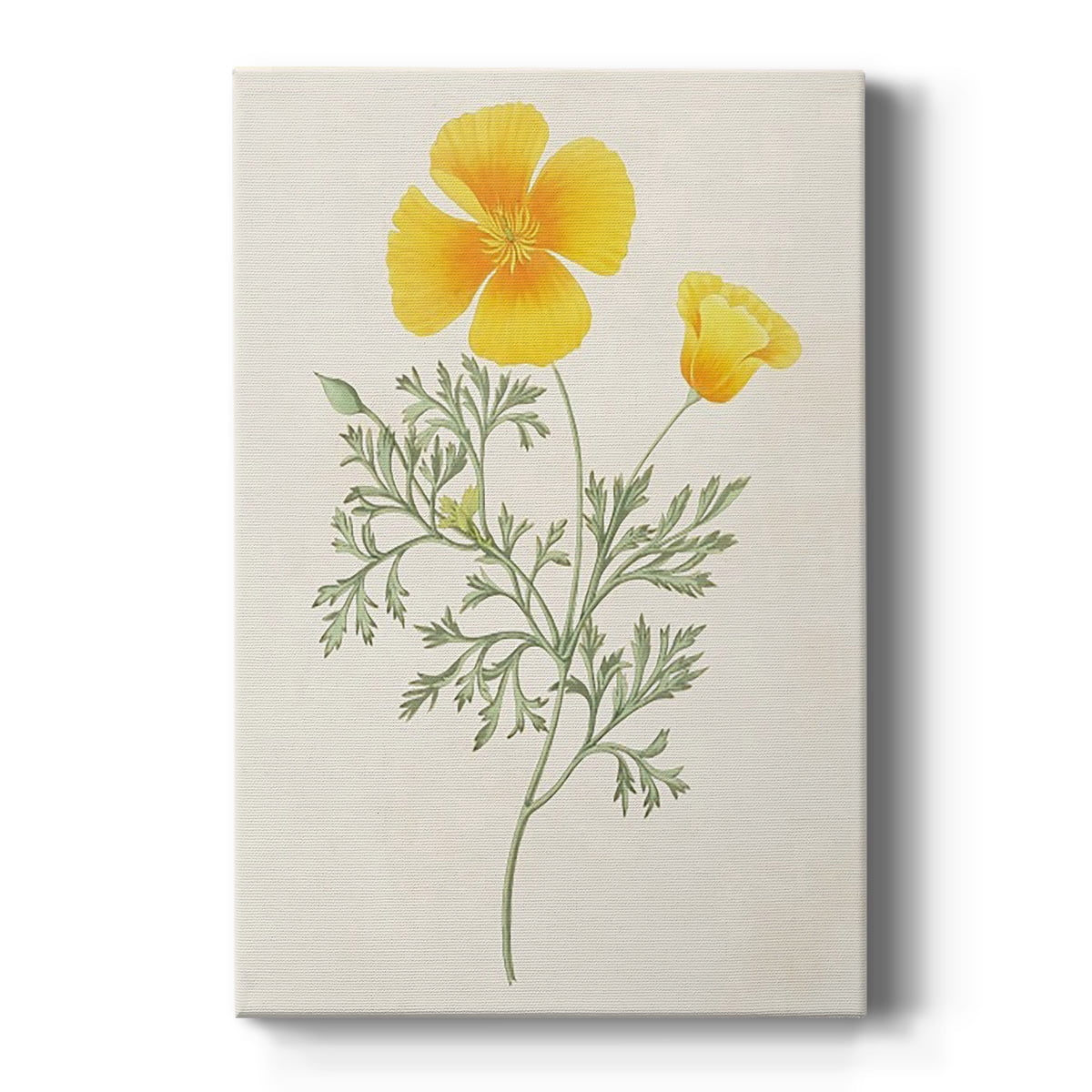 Yellow Floral Botanical Canvas Print with Solid Wood Frame