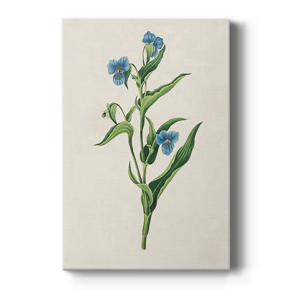 Flowers of the Seasons V Premium Gallery Wrapped Canvas - Ready to Hang