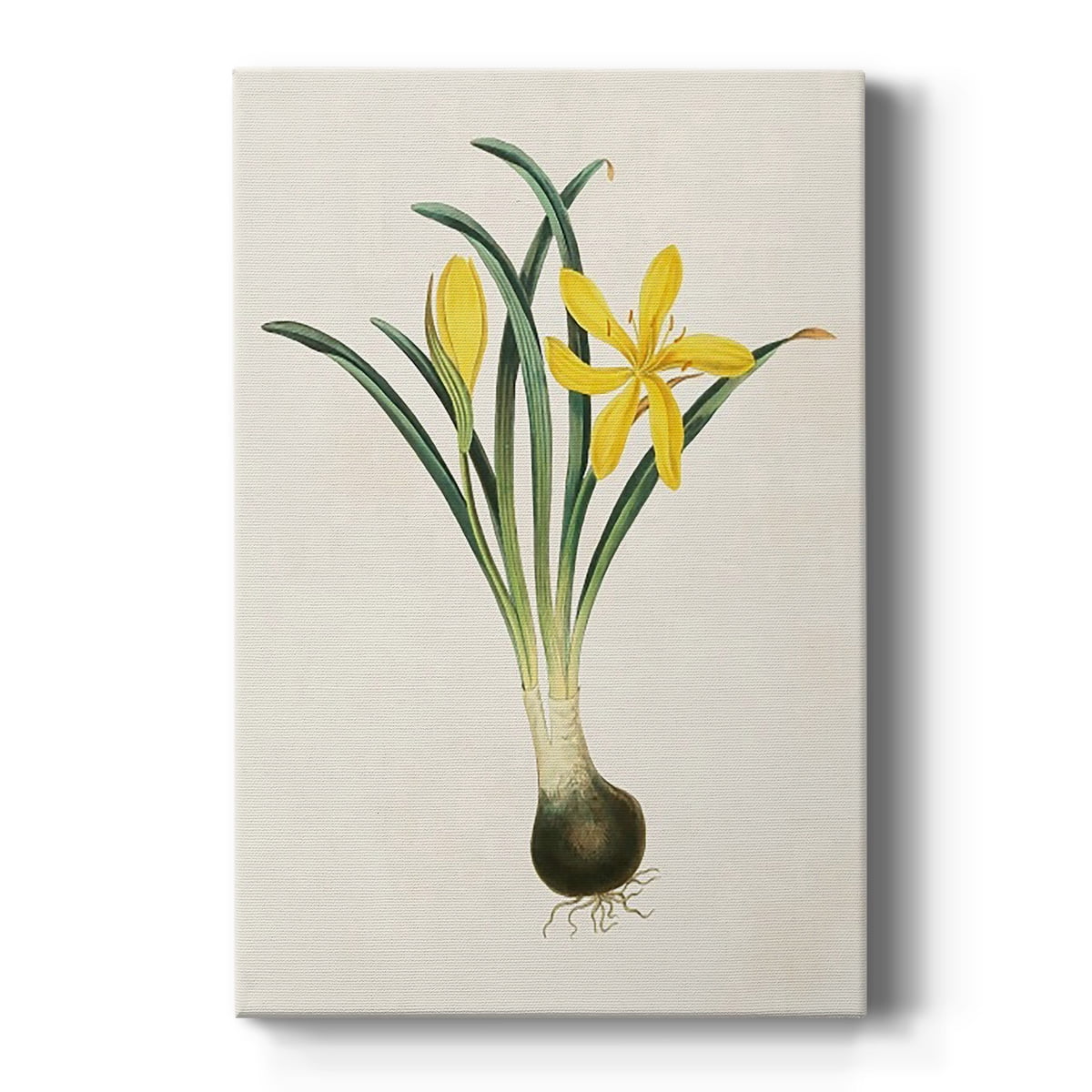 Yellow Floral Botanical Art on Canvas - 38" x 26"