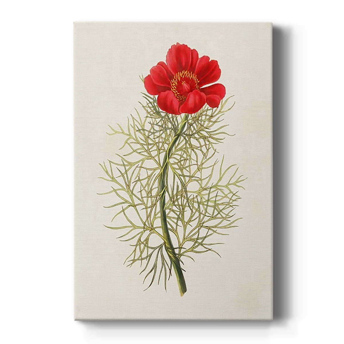 Flowers of the Seasons VII Premium Gallery Wrapped Canvas - Ready to Hang