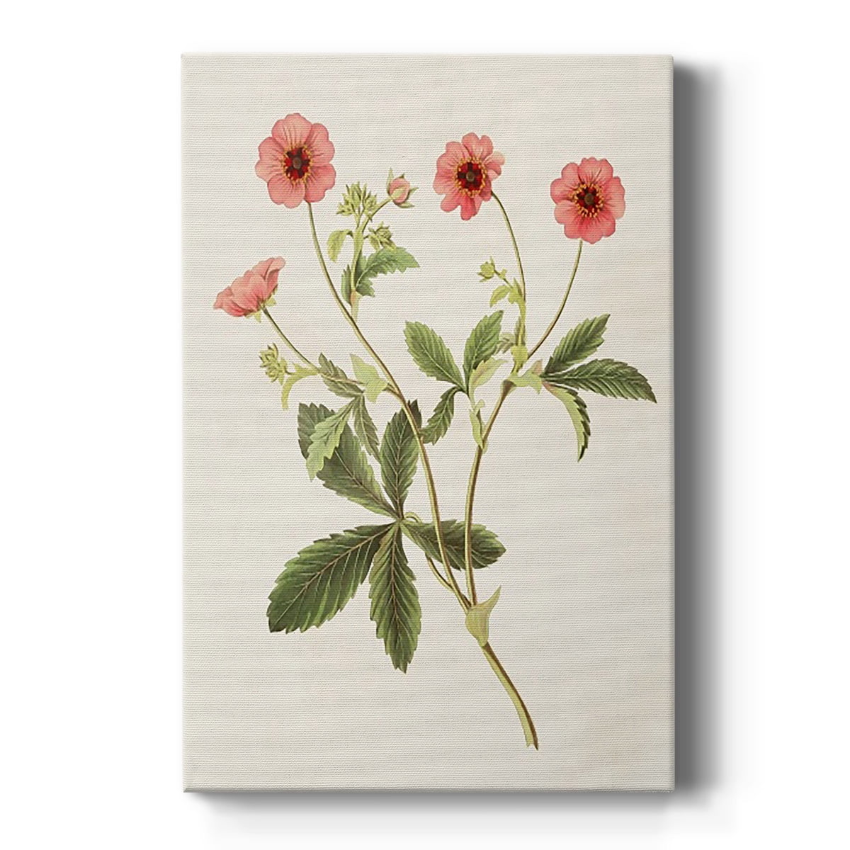 Flowers of the Seasons VIII Premium Gallery Wrapped Canvas - Ready to Hang