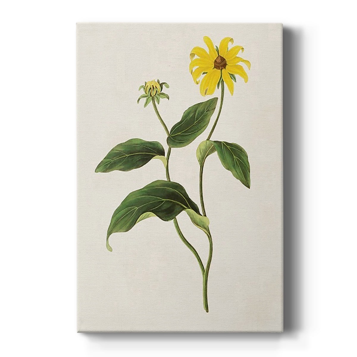 Flowers of the Seasons X Premium Gallery Wrapped Canvas - Ready to Hang
