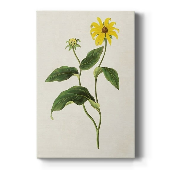 Flowers of the Seasons X Premium Gallery Wrapped Canvas - Ready to Hang