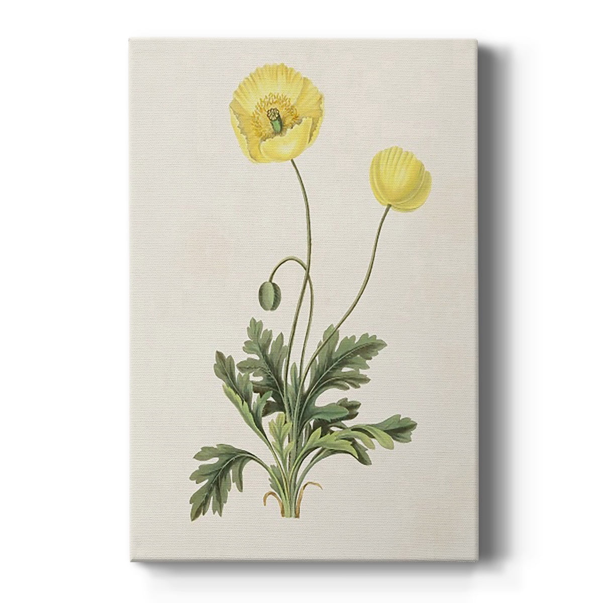 Flowers of the Seasons XII Premium Gallery Wrapped Canvas - Ready to Hang