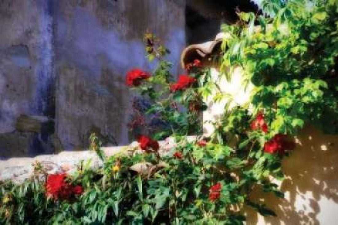 Flowers on a Mission Wall III Canvas Art - Alan Hausenflock (24 x 36)