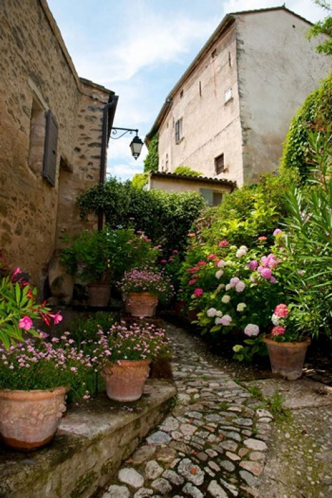 Flowers pots on street Lacoste Vaucluse Provence-Alpes-Cote dAzur France Canvas Art - Panoramic Images (24 x 36)