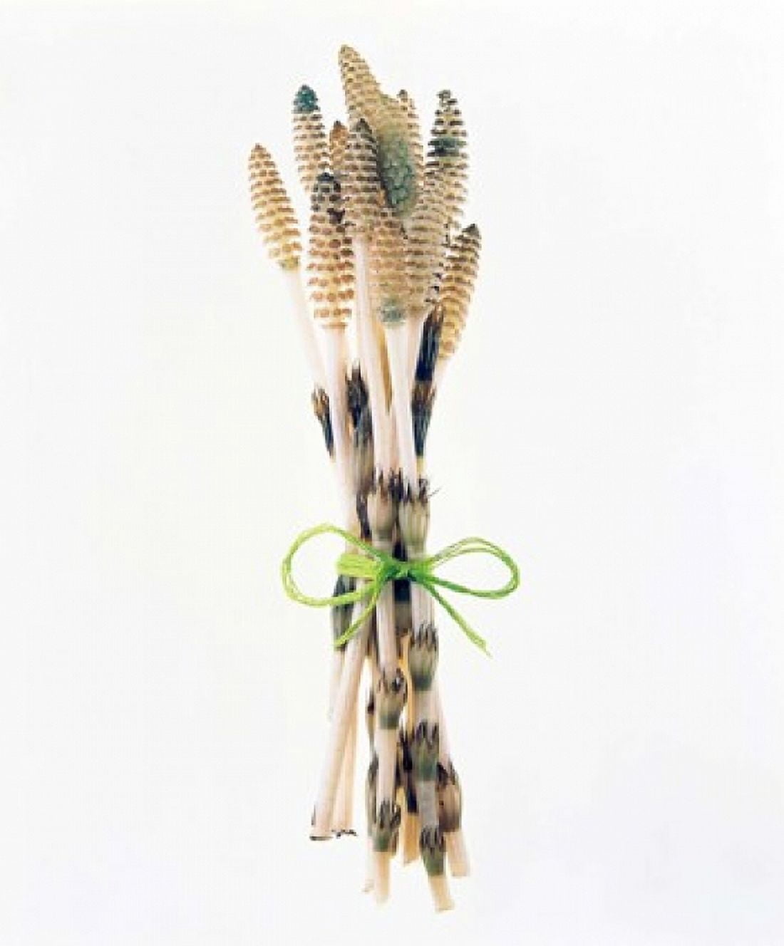 Flowers tied by rope Canvas Art - Panoramic Images (14 x 16)