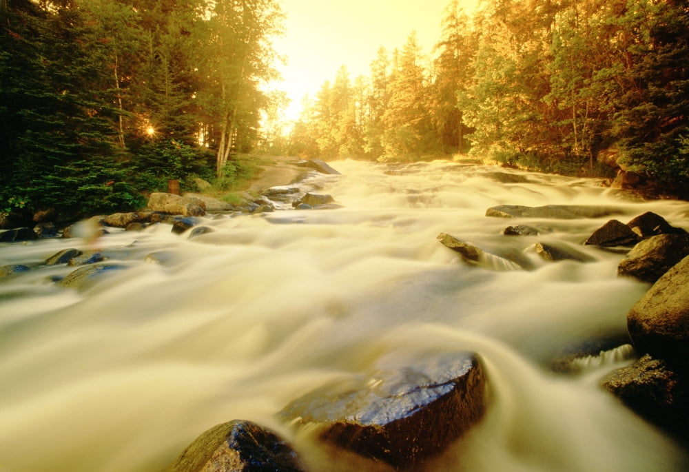 Flowing Water In Rushing River Provincial Park Near Kenora Ontario Canvas Art - Dave Reede Design Pics (17 x 11)