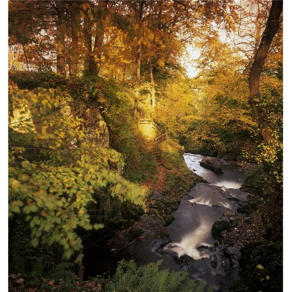 Flowing Water Through A Forest Glenarm County Antrim Northern Ireland Poster Print by The Irish Image Collection, 30 x 32 - Large