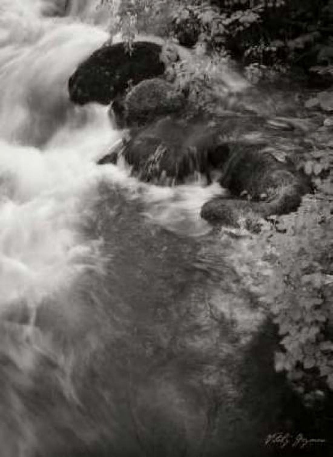Flowing Waters II Canvas Art - Vitaly Geyman (18 x 24)
