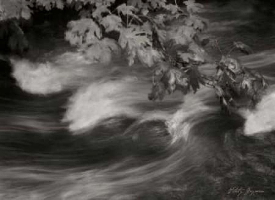 Flowing Waters X Canvas Art - Vitaly Geyman (18 x 24)
