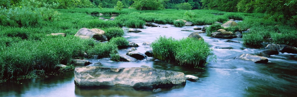 Flowing river St Francis River Missouri USA Canvas Art - Panoramic Images (27 x 9)