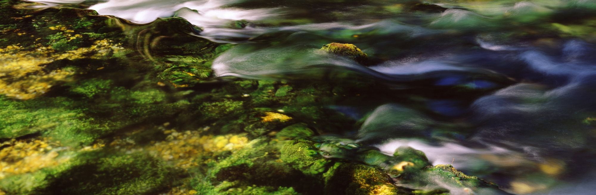 Flowing stream Blue Spring Ozark National Scenic Riverways Missouri USA Canvas Art - Panoramic Images (36 x 12)