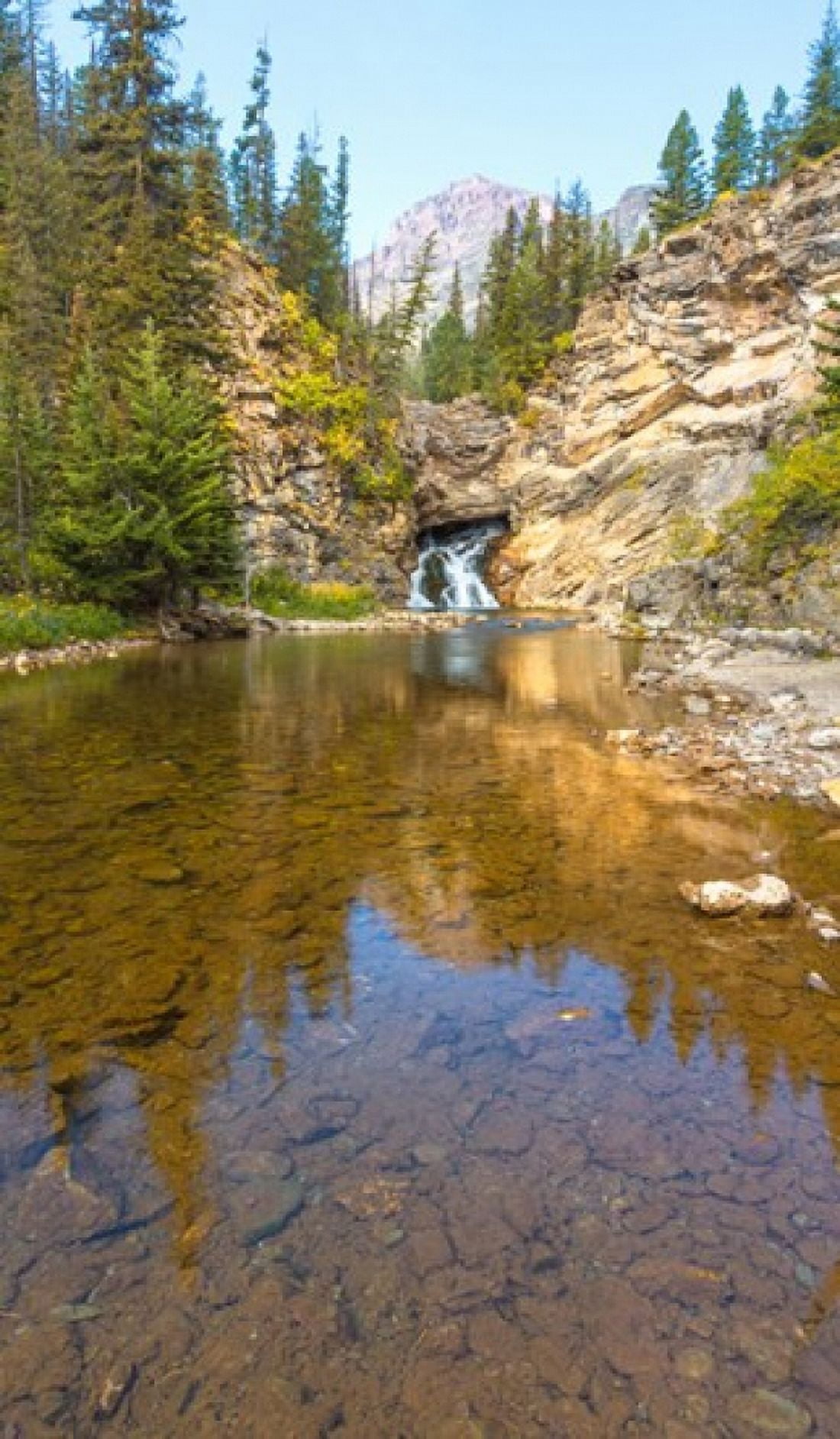 Flowing stream in a forest Banff National Park Alberta Canada Canvas Art - Panoramic Images (20 x 12)