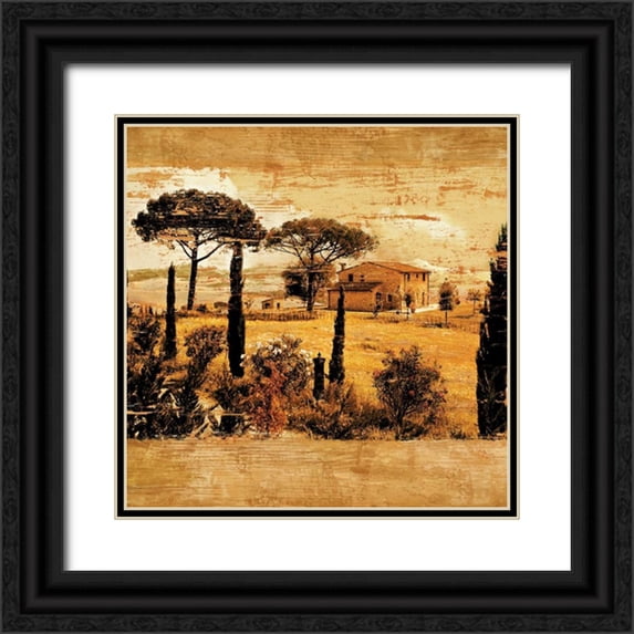 Floyd, Colin 12x12 Black Ornate Wood Framed with Double Matting Museum Art Print Titled - Tuscan Countryside I