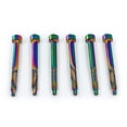 thumbnail image 1 of Color Stainless Steel String Lock Screws, 1 of 1