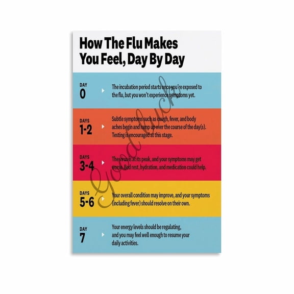 Flu Symptom Timeline Day by Day Guide Management Poster Canvas Painting Wall Art Poster for Bedroom Living Room Decor