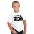 thumbnail image 1 of Fluent in Sarcasm Funny Attitude Crewneck T Shirts Boy Girl Teen Brisco Brands S, 1 of 6