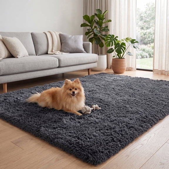 Fluffy Area Rug, 5x7ft Soft Shaggy Rugs Fluffy Carpets (Dark grey)