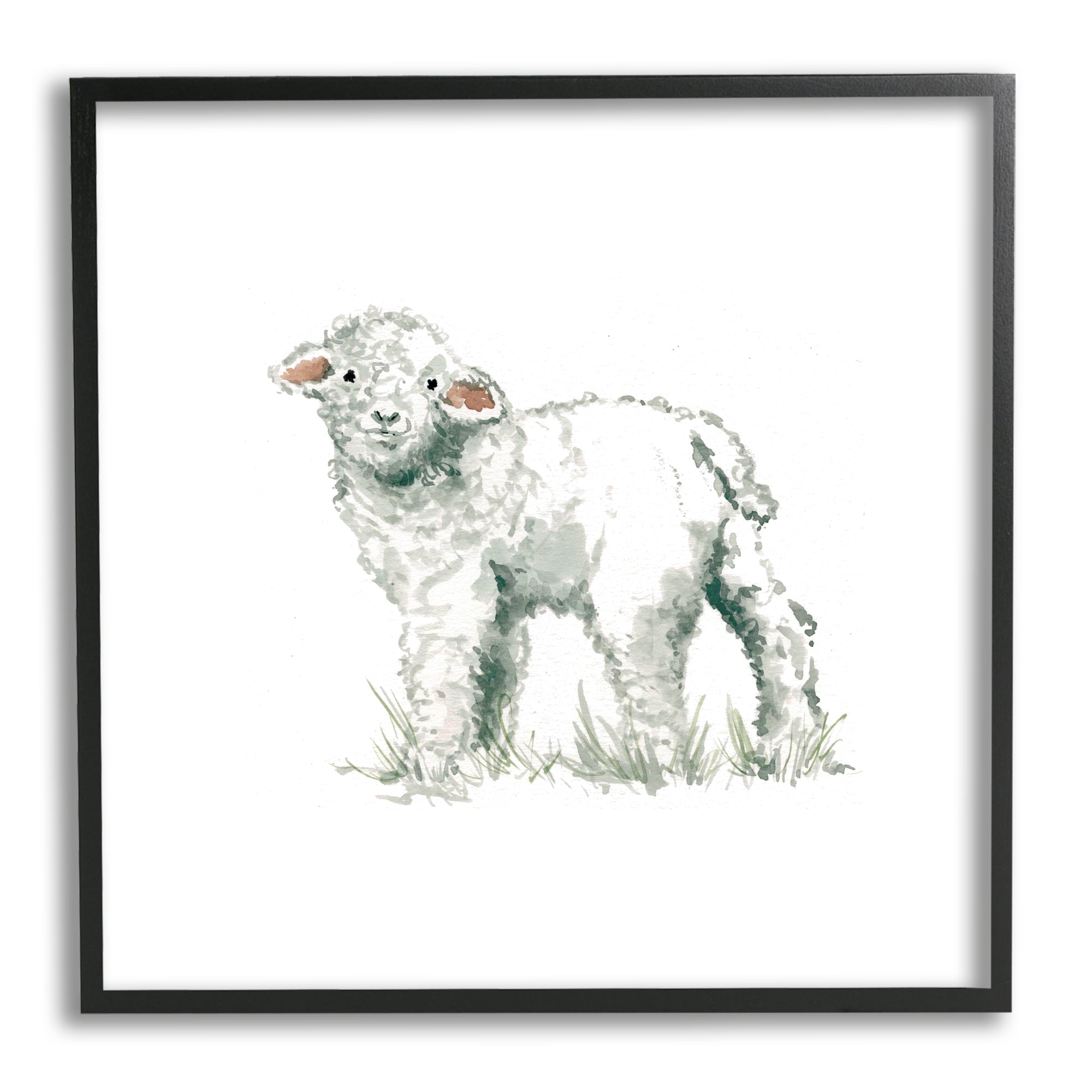 Fluffy Baby Sheep Minimal Farm Animal over White Animals & Insects Framed Art Print Wall Art, 17x17
