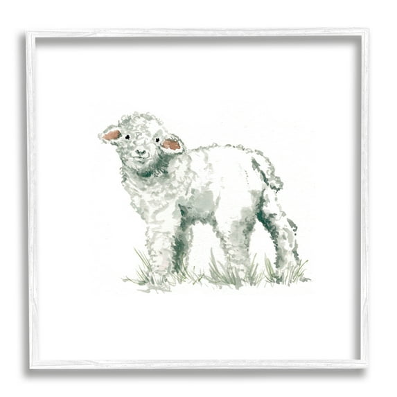 Fluffy Baby Sheep Minimal Farm Animal over White Animals & Insects Framed Art Print Wall Art, 17x17