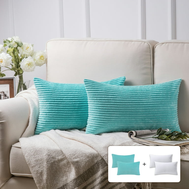 https://i5.walmartimages.com/seo/Fluffy-Corduroy-Velvet-Solid-Color-Suqare-Cusion-Accent-Decorative-Throw-Pillow-for-Couch-12-x-20-Aqua-2-Pack_1454469c-77b9-4bf3-9fd8-8498d35189de.16abd935679b41d67f9b393d95f98915.jpeg?odnHeight=768&odnWidth=768&odnBg=FFFFFF