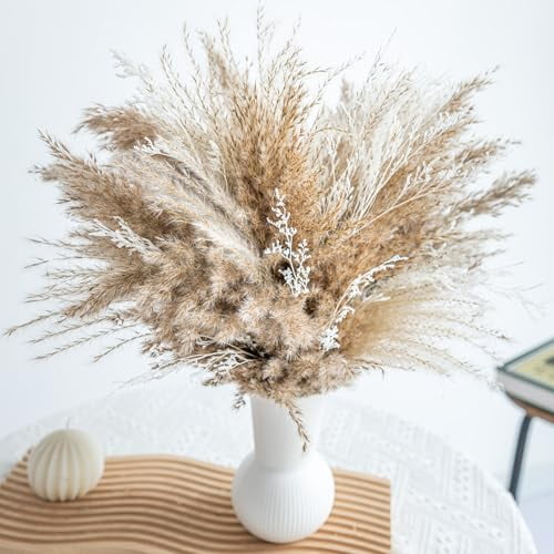 Fluffy Dired Reed Grass,Boho Decor,Pampas Grass Bulk,Dried Flowers for Wedding Home Table Decor Desk Decor,Rustic Farmhouse Decor Boho Flowers Home Table Decor