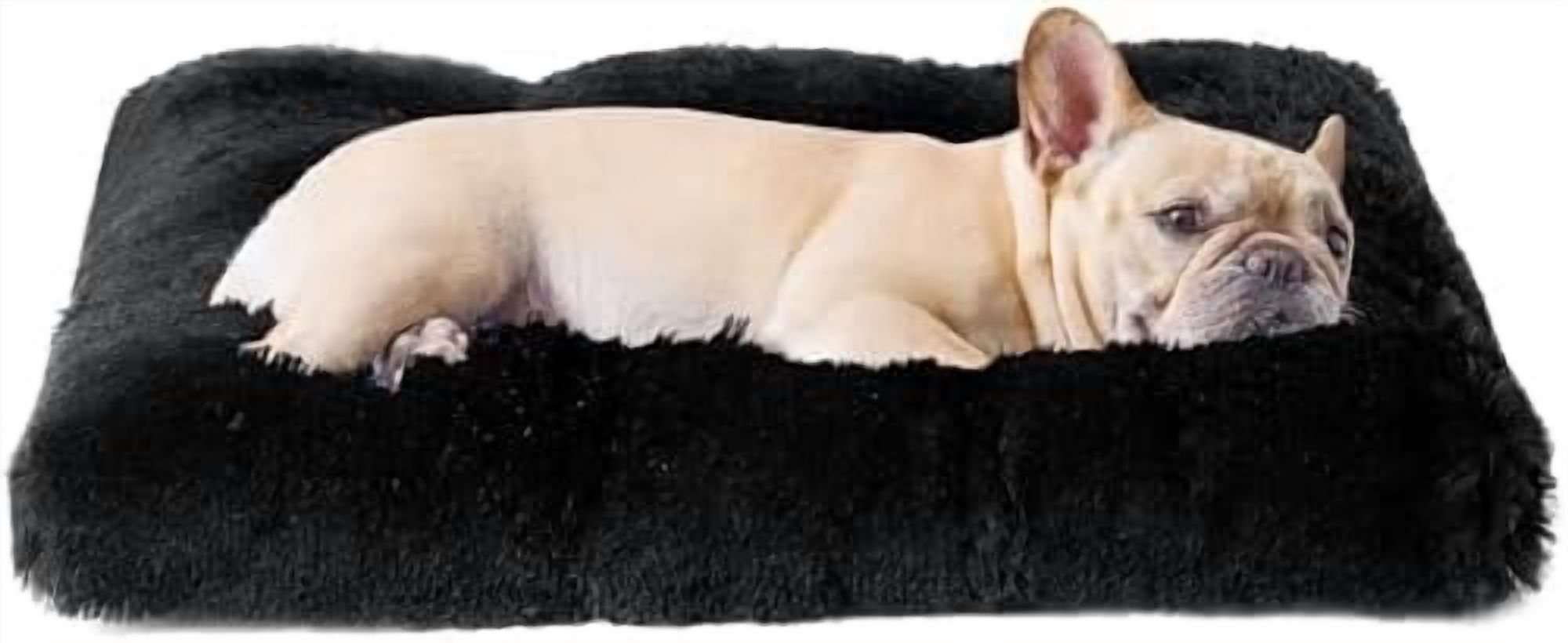 Photo inspiration: Fresh Look at Fluffy Dog Crate Bed For Medium Dogs Plush Faux Fur