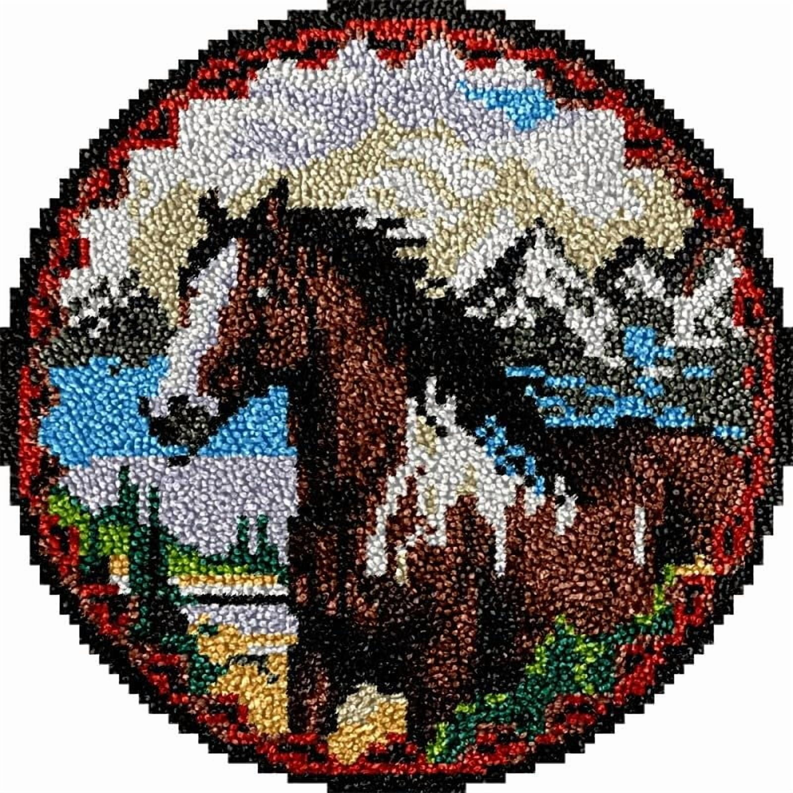 Fluffy Horse Round Shape Latch Hook Rug Kits Set for Starter Crochet Hook Cushion Mat Sofa Seat Cushion Crocheting Kits with Preprinted Canvas Crochet Yarn Kits 50X50cm (ui111)