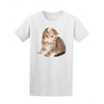 thumbnail image 1 of Fluffy Kitten T-Shirt Women -Image by Shutterstock, Female XX-Large, 1 of 2