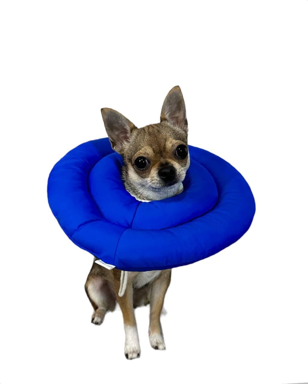 Muzzle instead of cone discount