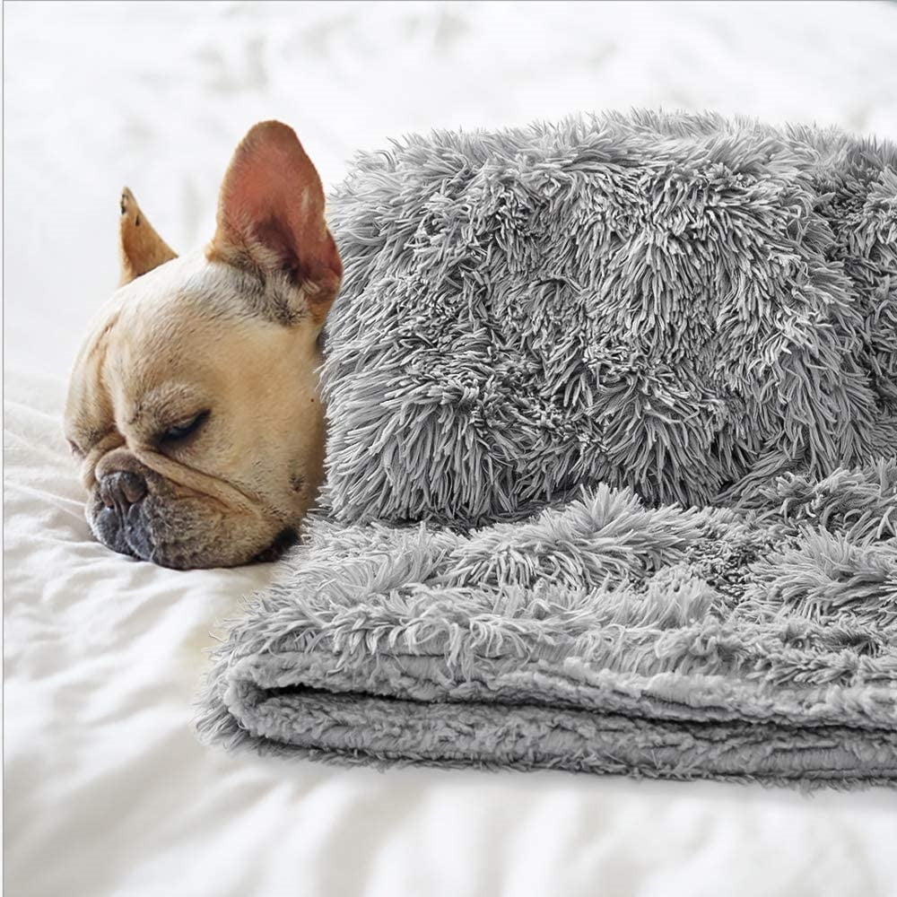 Walmart dog blanket hotsell