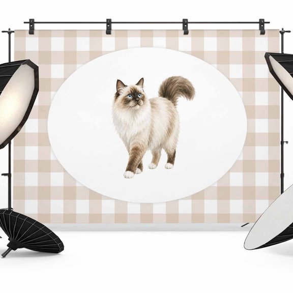 Fluffy Ragdoll Cat Backdrops for Photography, Retro Modern Cat Beige Plaid Fabric Photo Background Sturdy Studio Props for Photo Studio, Video Recording, Booth & Photoshoot 7x5ft