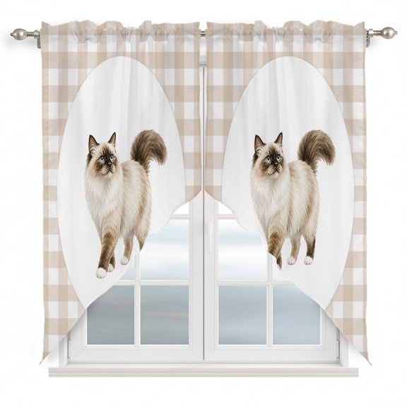 Fluffy Ragdoll Cat Swag Valances for Windows 2 Pack Retro Modern Cat Beige Plaid Swag Kitchen Curtains 36 Inches Long Rod Pocket Short Window Treatment for Kitchen Bathroom 36"x36"