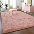 thumbnail image 1 of Fluffy Rugs for Bedroom Fuzzy Area Rugs for Living Room Soft Kids Carpet Non Slip Rugs for Hardwood Floors Room Decor, 1 of 5